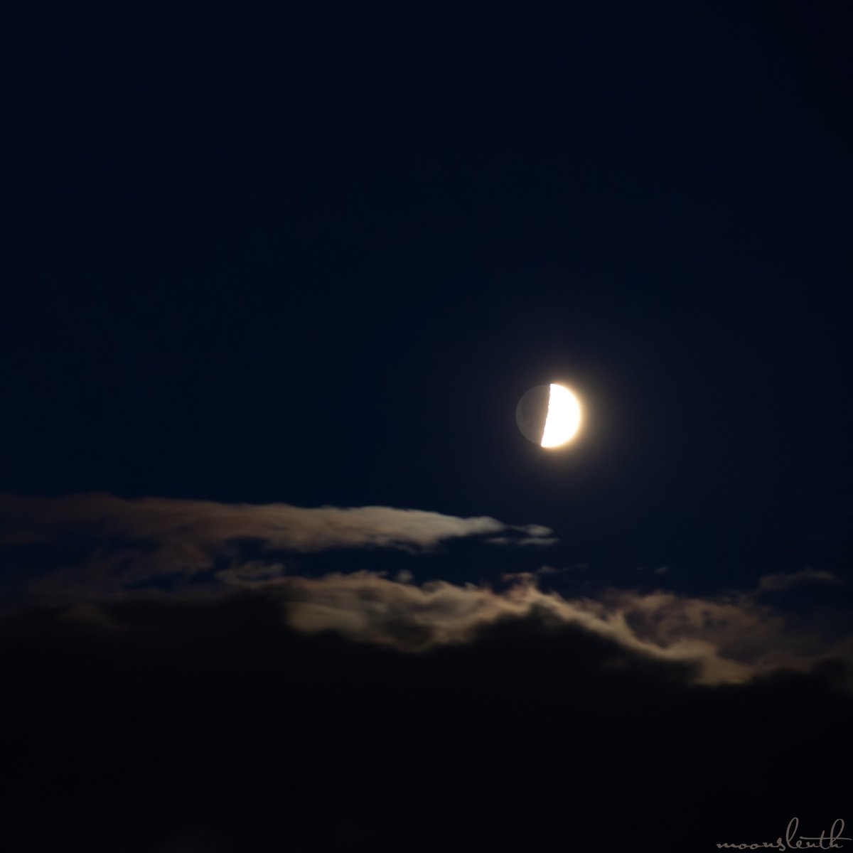 Stars shinin’ bright above you
Night breezes seem to whisper, “I love you” 
Birds singin’ in the sycamore tree
Dream a little dream for me 🤍
- Mama Cass