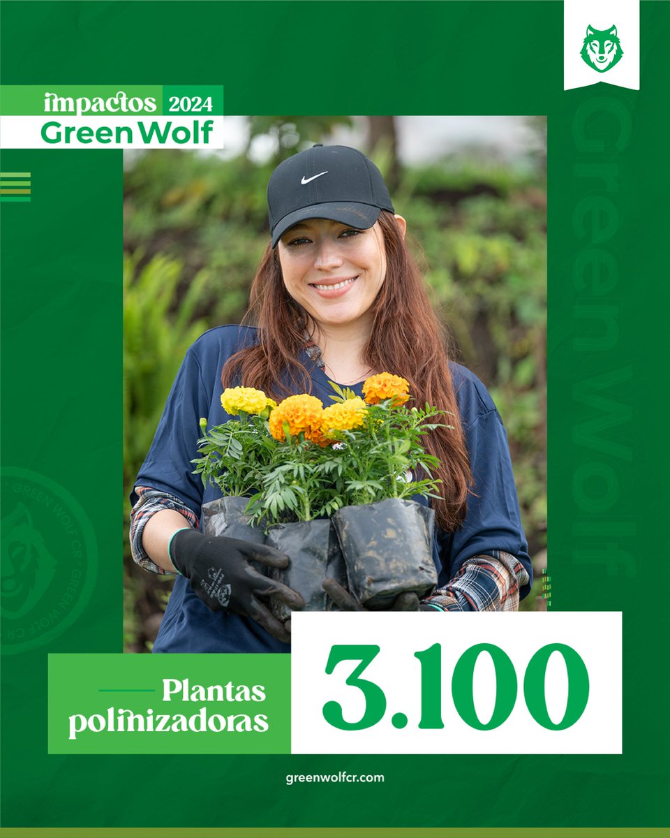 GreenWolfCR's tweet photo. Gracias a cada empresa, ente estatal y personas individuales, que han creído y se han involucrado en cada proyecto, generando convencimiento a través de la acción.

Por un 2025 que nos permita seguir creciendo e impactando de forma integral nuestro país. https://t.co/6wikON6TXH