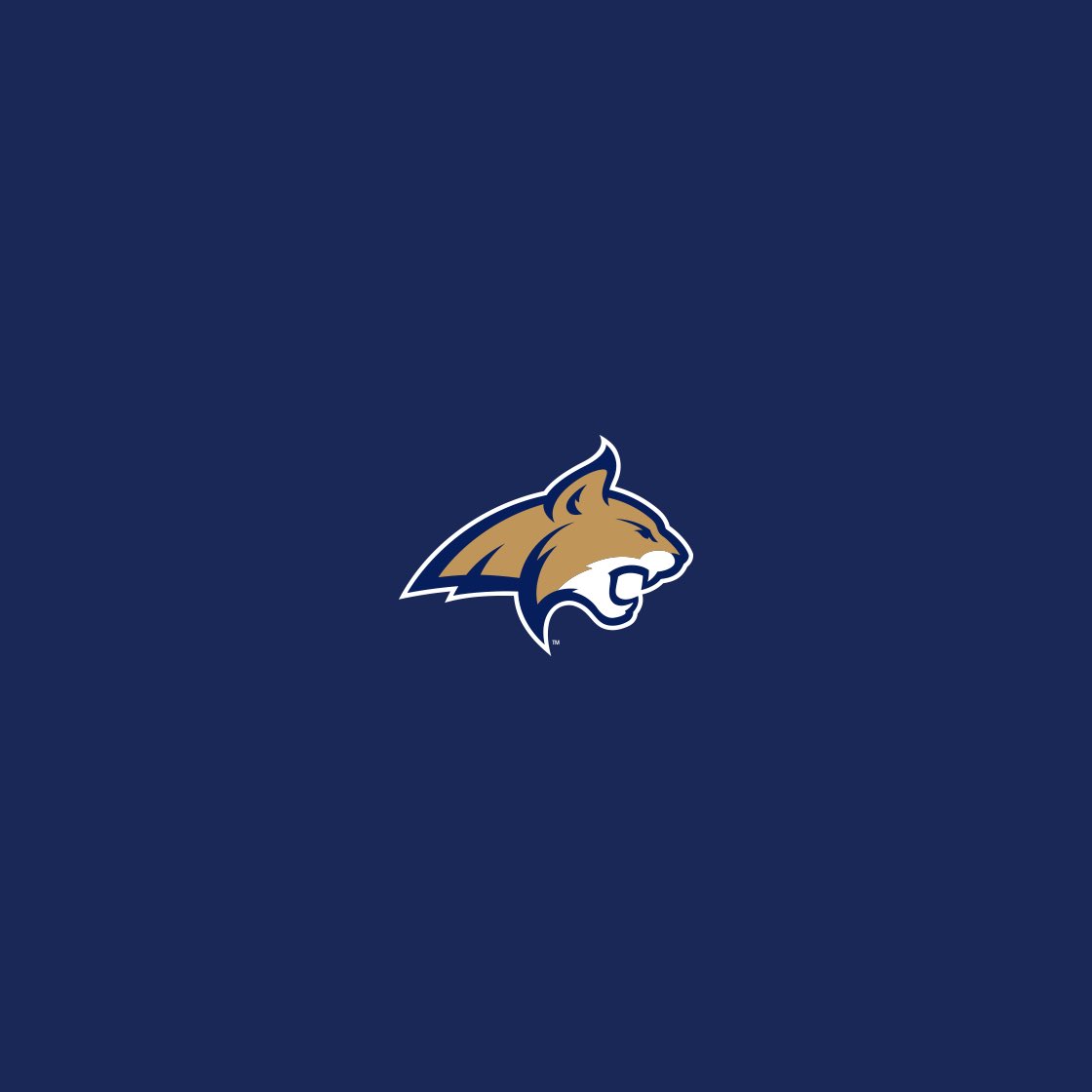 Greyson Stevens (@greysonstevens6) on Twitter photo After a great call with <a href="/CoachSammyMix/">Sam Mix</a> I am Blessed to receive my first division one offer from Montana State #AGTG <a href="/Murdock_02/">Frank Murdock</a> <a href="/Ryan_Clary_/">Ryan Clary</a> <a href="/WipeMeDownBoyz/">Wipe Me Down Boyz</a> <a href="/BrandonHuffman/">Brandon Huffman</a> <a href="/FarhanLaljiTSN/">Farhan Lalji</a> After a great call with <a href="/CoachSammyMix/">Sam Mix</a> I am Blessed to receive my first division one offer from Montana State #AGTG <a href="/Murdock_02/">Frank Murdock</a> <a href="/Ryan_Clary_/">Ryan Clary</a> <a href="/WipeMeDownBoyz/">Wipe Me Down Boyz</a> <a href="/BrandonHuffman/">Brandon Huffman</a> <a href="/FarhanLaljiTSN/">Farhan Lalji</a>