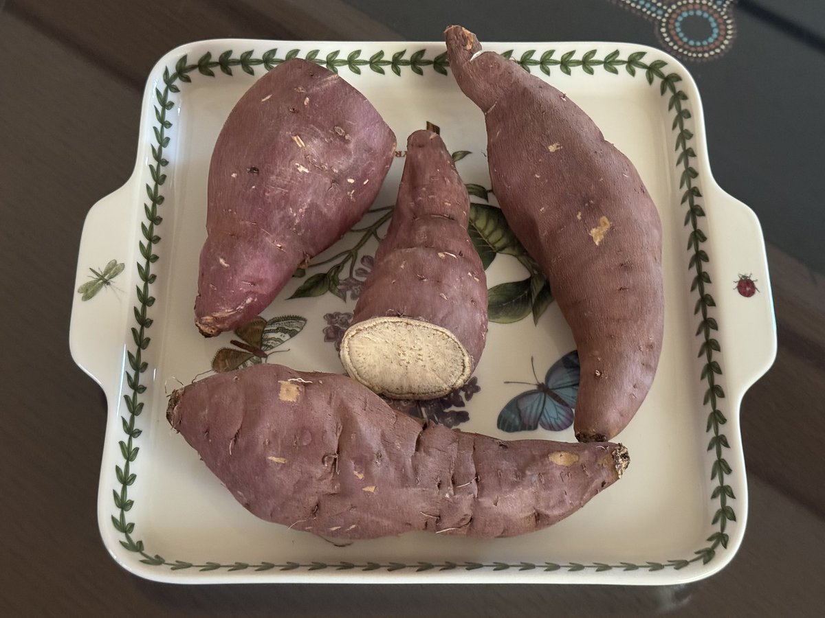 이번 설 참 조용하다