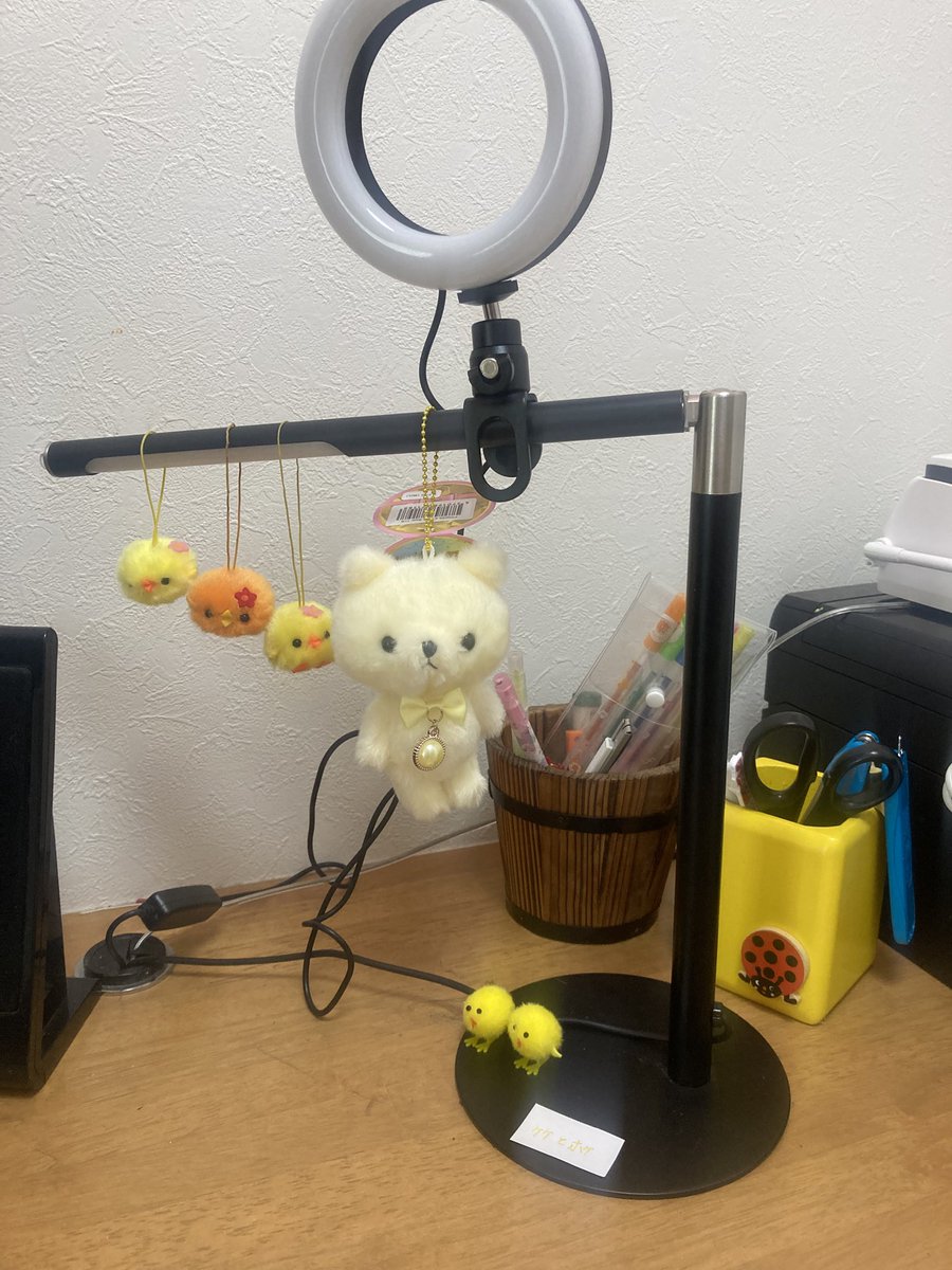 wahaha358's tweet photo. パソコンルームは最近娘の勉強部屋に。
可愛ゆいものが増えてきておりますね。
くまちゃんはワタクスと色違いのお揃いで娘のお年玉で買ってくれたものであります。

明日は実力テスト、ぐわぁんばってぇええぇ！ https://t.co/U9OOJPlxSU