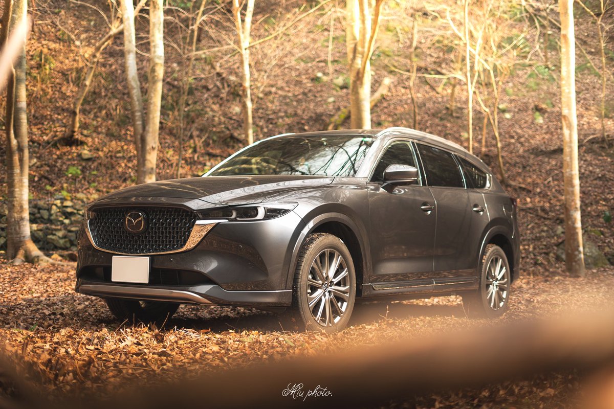 robe_copen26's tweet photo. ( ∩ｰ̀֊ｰ́📷⊂ )ｶｼｬｯ 

#mazda #cx8 https://t.co/jGRpAkVQ0R