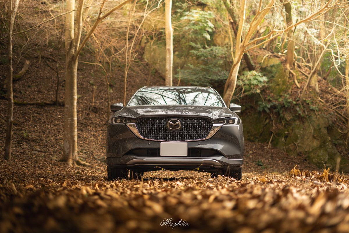 robe_copen26's tweet photo. ( ∩ｰ̀֊ｰ́📷⊂ )ｶｼｬｯ 

#mazda #cx8 https://t.co/jGRpAkVQ0R