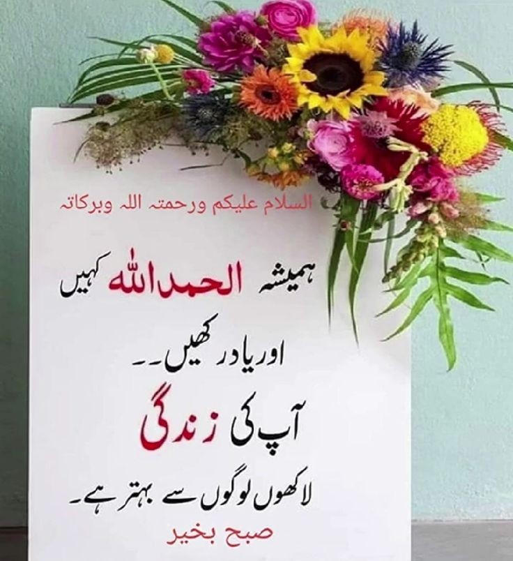 اسلام وعلیکم ورحمتہ اللہ وبرکاتہ ❣️ 
🌺صبح بخیر 🌺
نیم کے پیڑ کم ہو رہے ہیں ۔ اور گھروں میں کڑواہٹ بڑھتی جا رہی ہے ۔ 
زبان سے مٹھاس کم ہو رہی ہے ۔ اور جسم میں شوگر بڑھتی جا رہی ہے ۔
اللہ تعالیٰ ہم سب کو ان چیزوں سے محفوظ رکھے
آمین ثم آمین 🤲🏻 
#X_promo