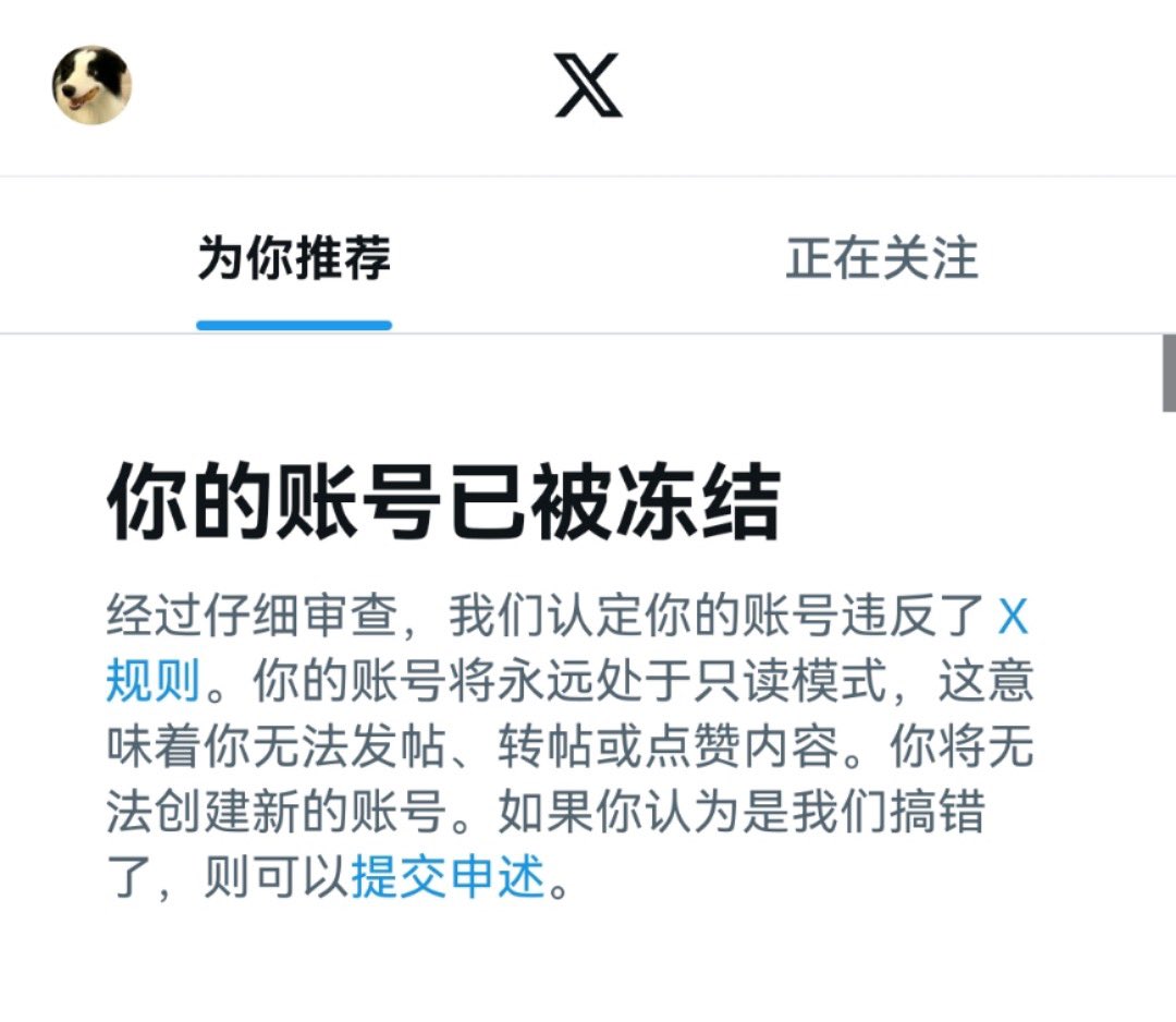 Blink tweet media