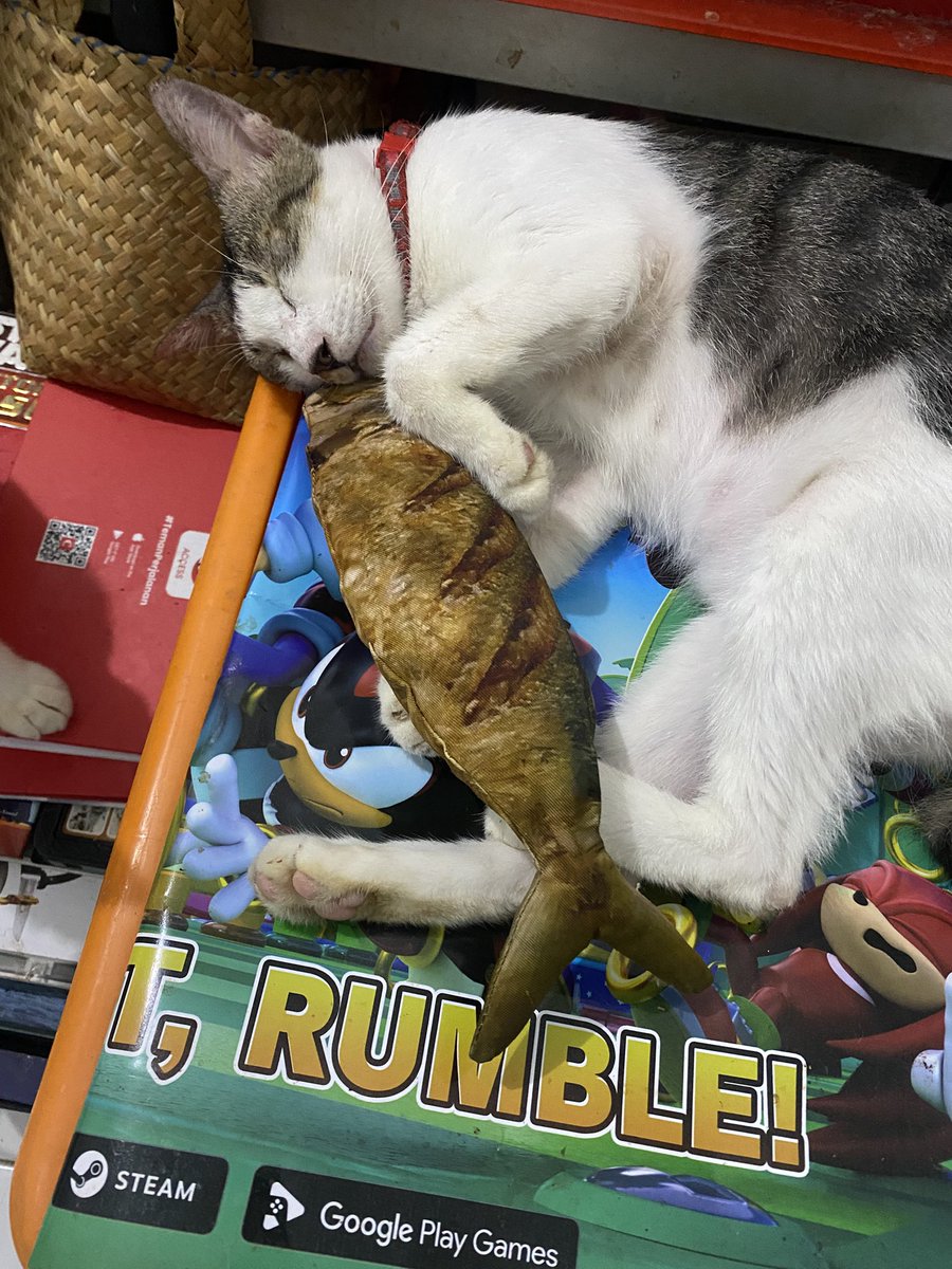 Gulingnya boneka ikan kembung