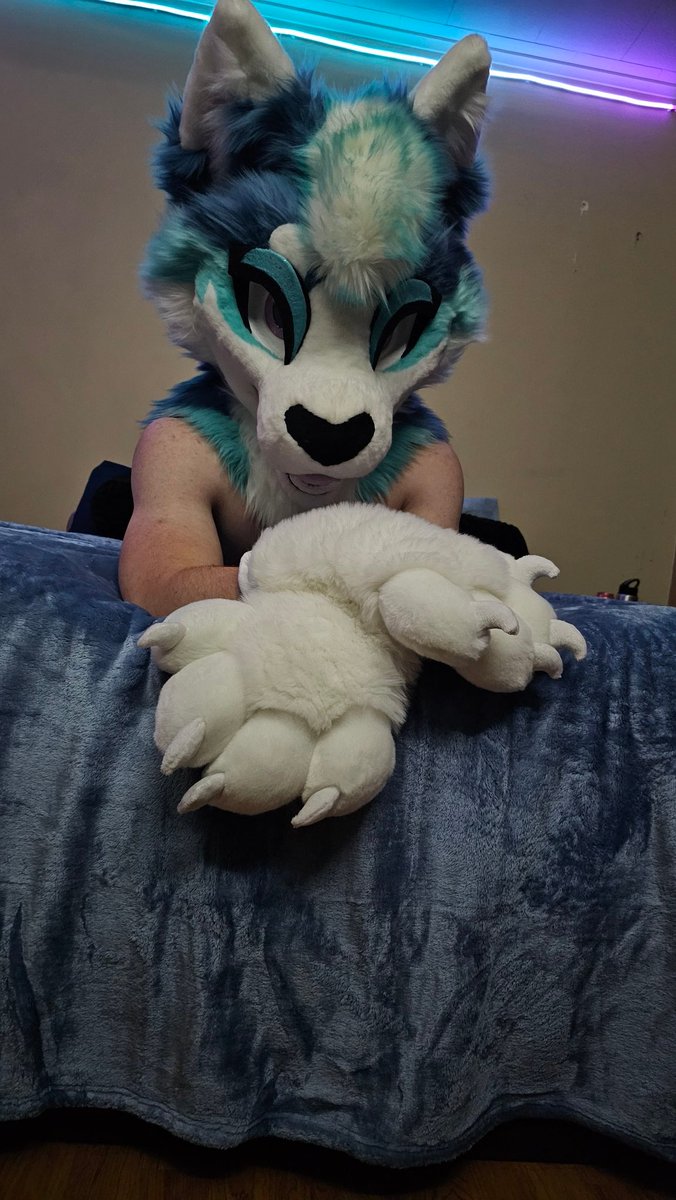 Why hello there~ 🩵
#furry #fursuit #fursuiter #furrymuscles