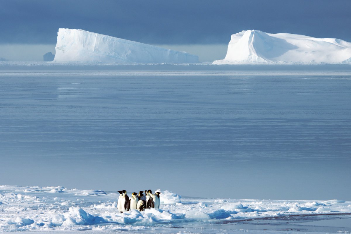 We're a good way through our Antarctic summer of science and there's plenty to report. Catch up on what's been happening in the latest issue of our online newsletter 'Antarctic Insider'.

👀Read online or subscribe at antarctica.gov.au/news/antarctic…

📷 Jono Newman