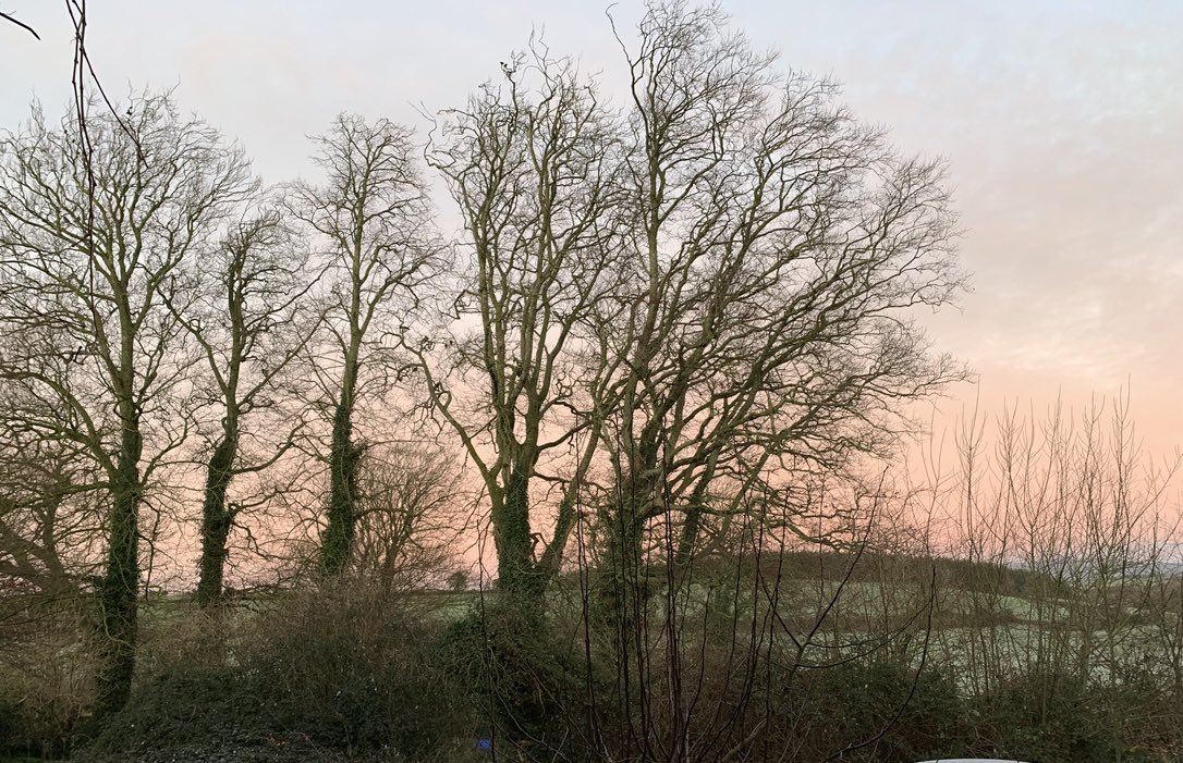 Tipperary frosty morning