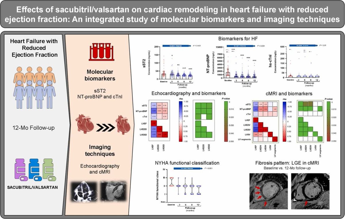 ‼️Nuevo artículo científico de nuestros investigadores

Effects of sacubitril/valsartan on cardiac remodeling in heart failure... 

<a href="/AinhoaRobles/">Ainhoa Robles</a> <a href="/FJavierPavon/">Francisco Javier Pavon Moron</a> <a href="/Capijorge1/">Capijorge</a> <a href="/CruzadoConchi/">Conchi Cruzado</a> <a href="/DrDoblas/">Dr Gomez Doblas</a> <a href="/manuelfjn/">Manuel F Jiménez-Navarro</a> <a href="/MGBedmar/">Mario Gutiérrez-Bedmar</a>  <a href="/marlucale37/">Garcia Pinilla</a> 

sciencedirect.com/science/articl…