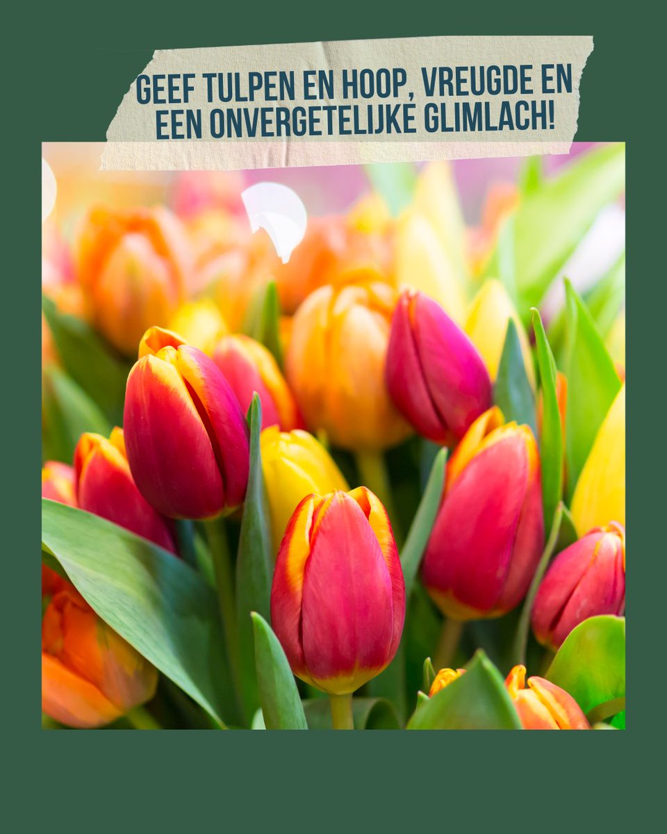 🌷 𝗚𝗲𝗲𝗳 𝗸𝗹𝗲𝘂𝗿 𝗺𝗲𝘁 𝘁𝘂𝗹𝗽𝗲𝗻 é𝗻 𝘀𝘁𝗲𝘂𝗻 𝗗𝗿𝗲𝗮𝗺𝟰𝗞𝗶𝗱𝘀 🌷 
Je geeft 'n kleurrijk cadeau en toont waardering aan je medewerkers. Je steunt ons werk en geeft kinderen met 'n trauma 'n Droomdag om nooit te vergeten. 
forms.office.com/pages/response…