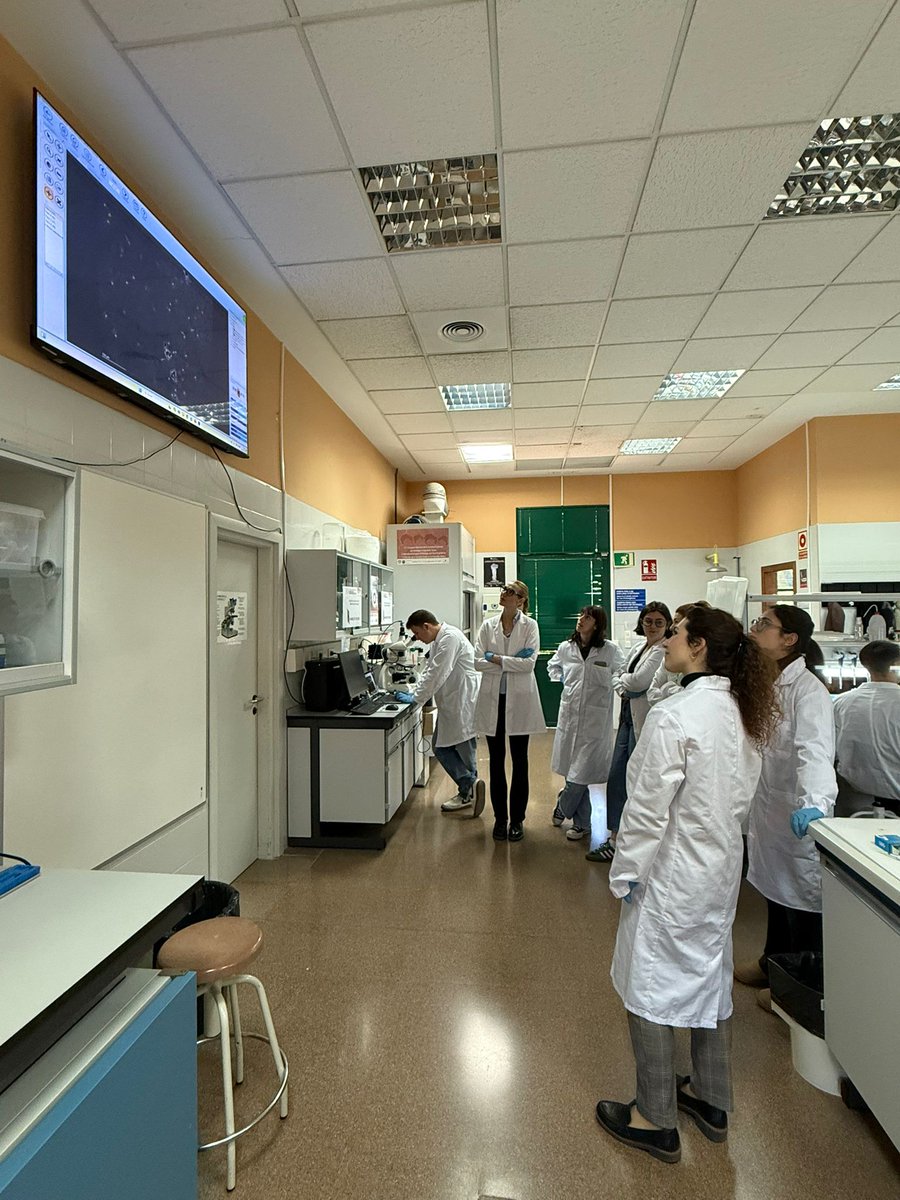 La semana pasada participamos en la XIII Edición del Máster en Medicina Reproductiva, organizado por Universitat d'Alacant e Instituto Bernabeu. Glòria Martínez impartió una sesión práctica sobre análisis de semen con ayuda de un sistema CASA. Muchas gracias por invitarnos!