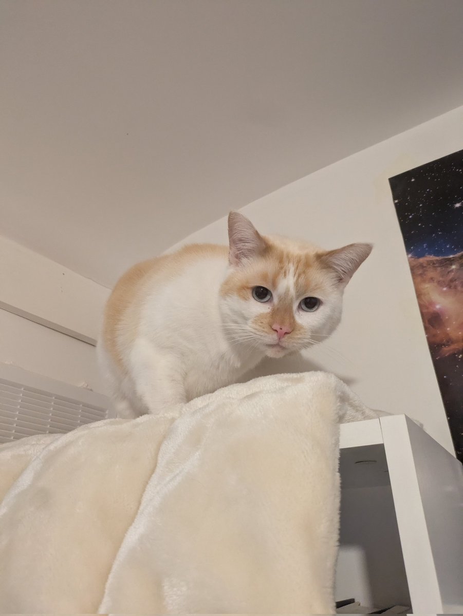 Malick Doucoure tweet media