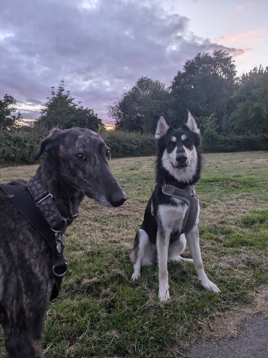 Malick Doucoure tweet media