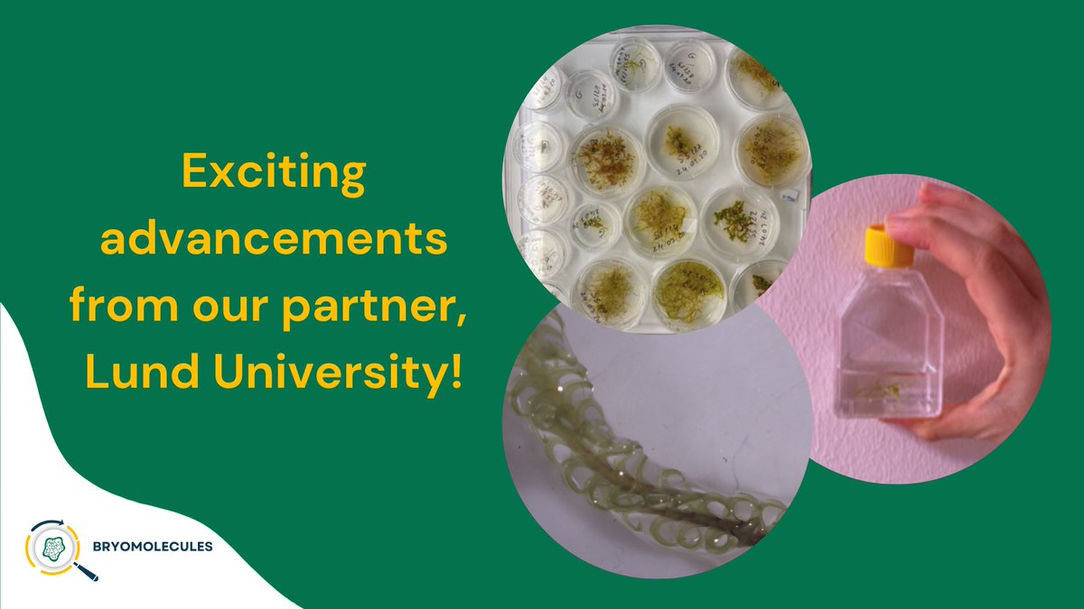 BRYOMOLECULES PROJECT tweet media