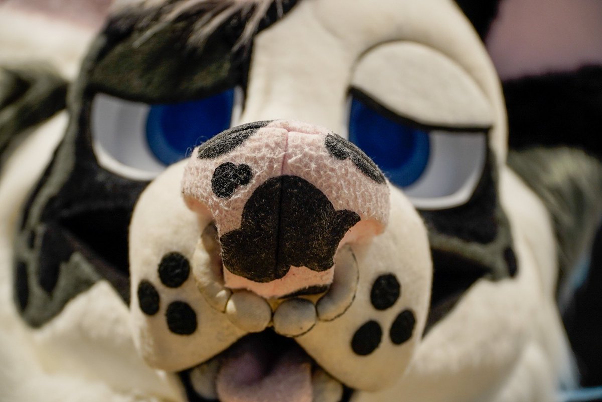 dadogmutt's tweet image. Thank you everyone for the birthday wishes, it’s the first time I’ve had this day being away from home, friends and family but I’ve still had an amazing day🎉🎉🎉🫘