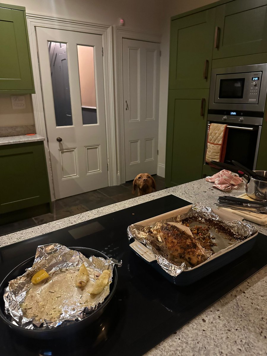 The face of hope 🐶