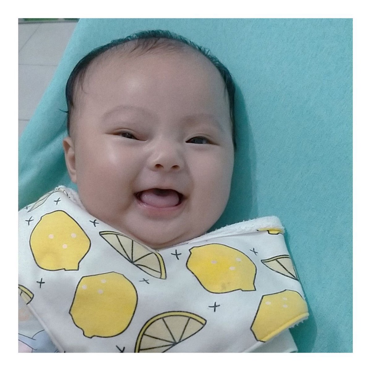 Life update! Meet my littol clover Rima 🥹🥰
I've been busy cuddling this cutie! Despite the sleepless nights in the first month she turned out to be cheerful and lovely 🥰 tho she can be moody sometimes 😂