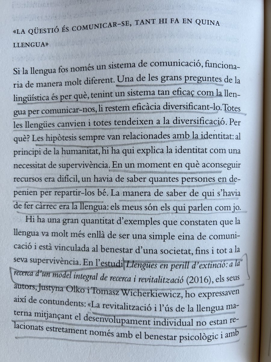 Òscar Andreu tweet media