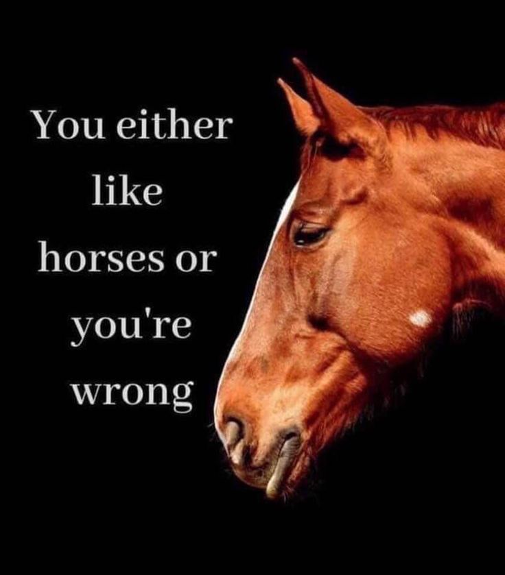 <a href="/BdoubleO100/">BdoubleO100</a> <a href="/kingbdogz/">kingbdogz</a> it's giving