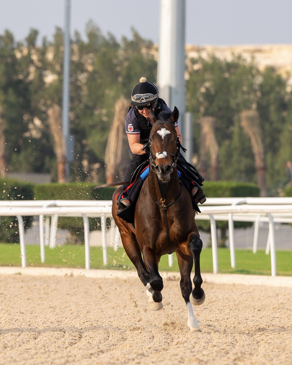 BahrainTurfClub's tweet photo. 🏇🏻🌅

#Bahrainturfclub 
#SeeBahrainInANewLight https://t.co/rEXSAZPz4r