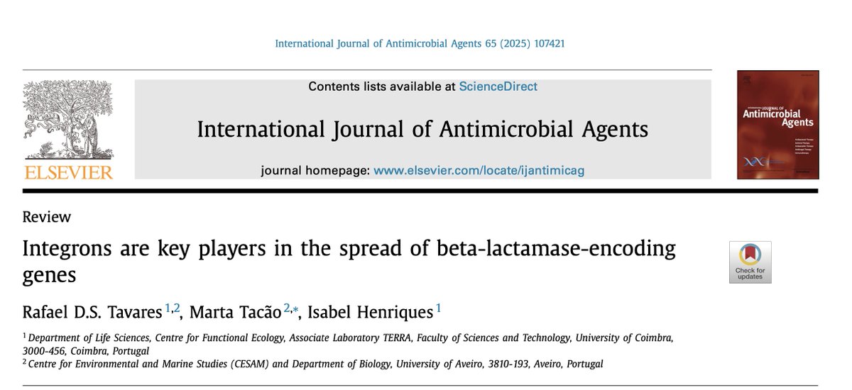 Our review is finally out! It's a key publication in my PhD and I'm very proud of it! Check it out:

doi.org/10.1016/j.ijan…

<a href="/Isab_Henriques/">Isabel Henriques</a> @MartaTacao <a href="/lab_assoc_terra/">LabTerra</a> @CESAM_Univ  <a href="/BioMicroLab95/">BioMicroLab</a>