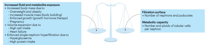 Hans-Joachim Anders tweet media