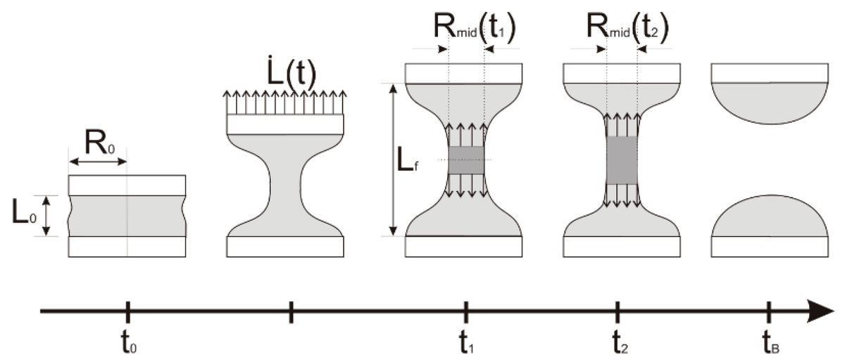 Polysac14867421's tweet image. #OpenAccess 

📜Tuning the Shape of Spray-Dried #Pullulan Particles Through Feed Rheological Behavior 

✏️by Francesca Selmin et al  

🔗Read the full manuscript here: mdpi.com/2673-4176/6/1/7

#fibers