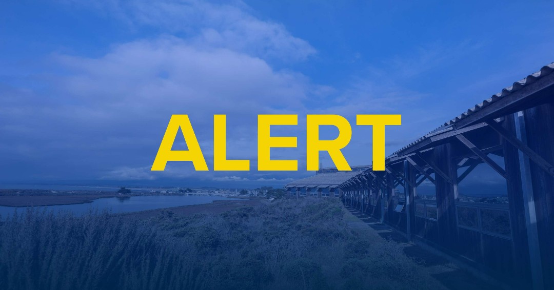 SJSU NewsCenter (@sjsunewscenter) on Twitter photo 🚨Brian Hackney from <a href="/KPIXtv/">CBS News Bay Area</a> reports on SJSU research revealing heavy metals at Elkhorn Slough after the Moss Landing fire.
Learn more: ow.ly/L3GR50UPQCV
#EnvironmentalResearch #MossLanding 🚨Brian Hackney from <a href="/KPIXtv/">CBS News Bay Area</a> reports on SJSU research revealing heavy metals at Elkhorn Slough after the Moss Landing fire.
Learn more: ow.ly/L3GR50UPQCV
#EnvironmentalResearch #MossLanding