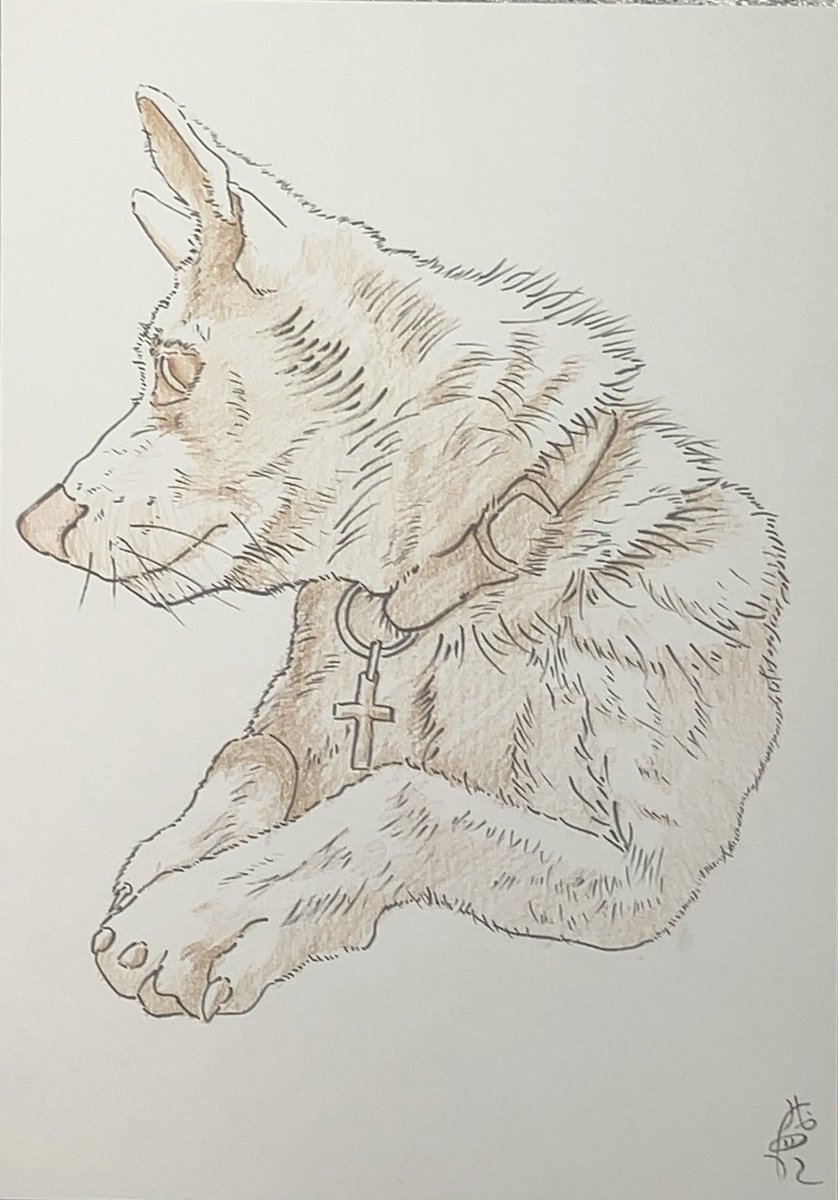 画用紙・筆ペン・色鉛筆（茶）
29.7cm×21cm
#犬　#画用紙　#絵　#art  #dog
