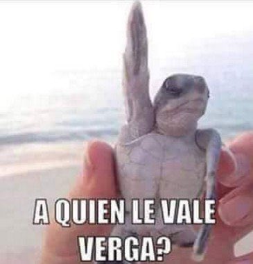 Sergio (@minchacasergio_) on Twitter photo 