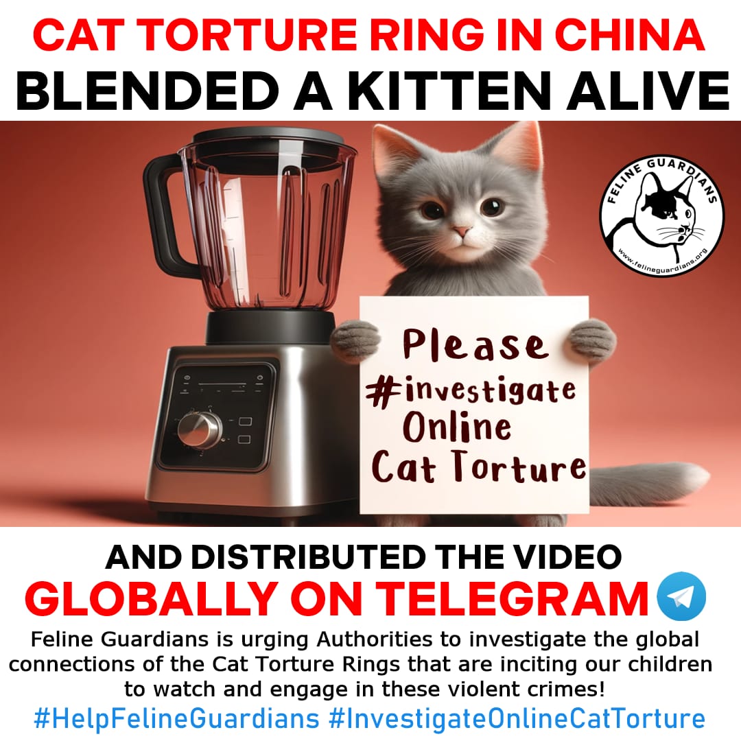 michisisss tweet media