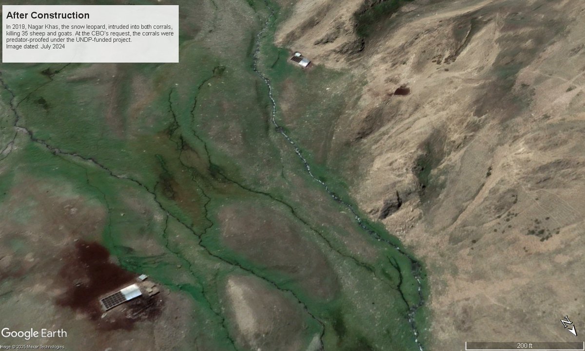 SLF_PAK's tweet photo. ome structures are built to last, even in remote, hard-to-access locations. Thanks to @googleearth we can now monitor them cost-effectively.

Before-and-after images of predator-proof corrals in Nagar Khas. Upgraded in 2019 to protect livestock from snow leopard attacks. https://t.co/FNYUbWFvQU
