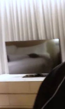 evilbunnyrach's tweet photo. so leeknow is someone who makes his bed at the hotel https://t.co/19XSU3Yf8L