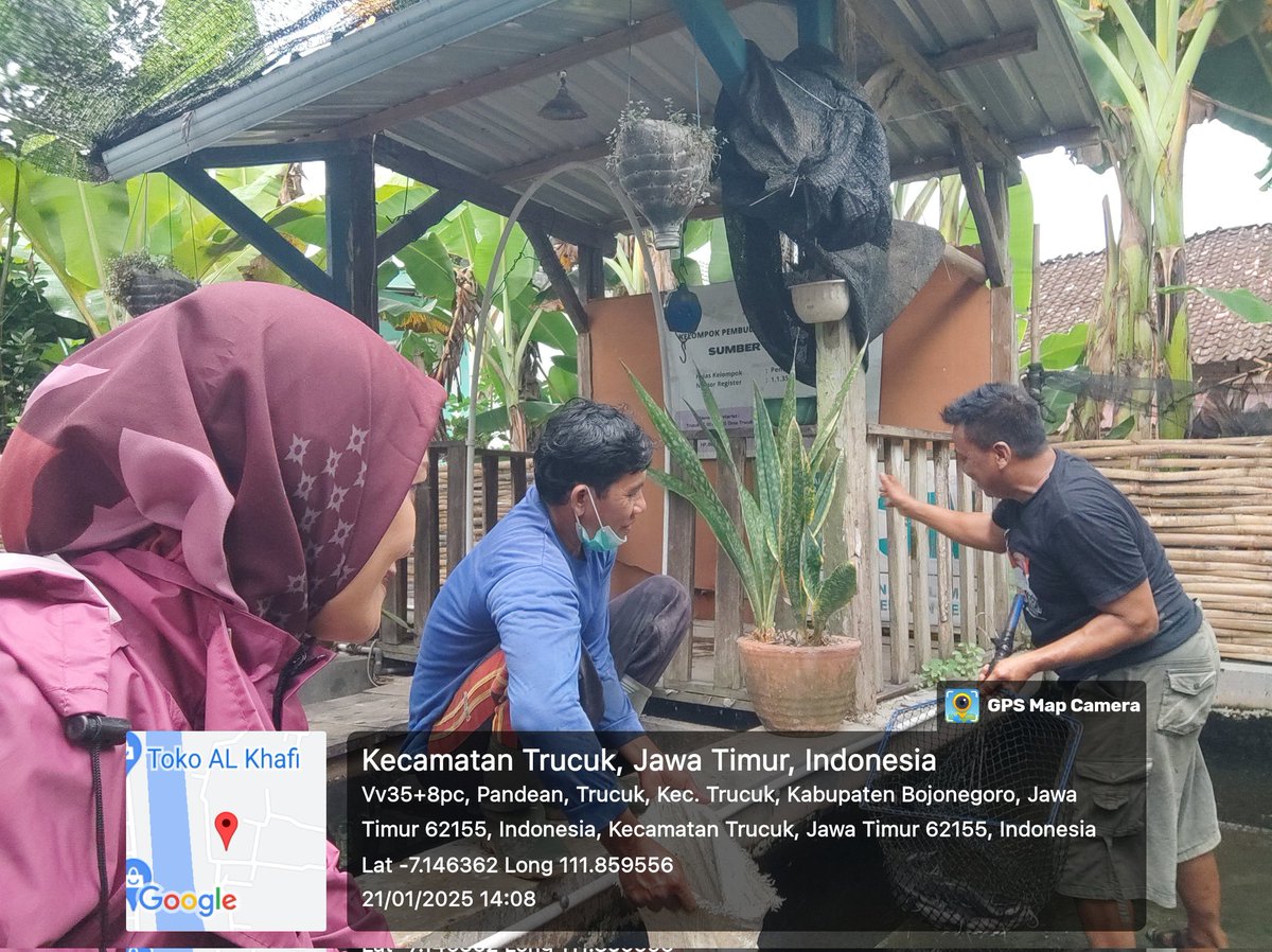 bett_alqi's tweet photo. Senin (21/1), Baiti, Luhkan Bojonegoro, mendampingi #panen Lele di Bpk Hadi Susilo (Ds. Trucuk Kec. Trucuk), teknologi sederhana, sebanyak 157 kg, kolam beton luas 12 m², size 8-12 ek/kg, harga Rp. 19.000/kg
#GiatLuhkanSatminkalBWI
#Bnegoro 
@pusluhkp
@bppsdm_bp3bwi https://t.co/ebSCz03bnN