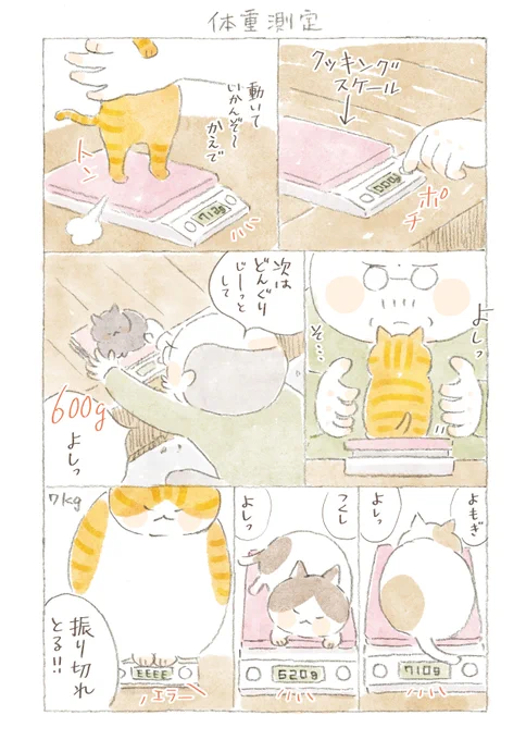ひとりと一匹、そして島の人々が繰り広げる、毎日がいとおしくなる四季折々の彩りをお届けします。『ねことじいちゃん+番外編』
ねこまき(ミューズワーク)

@nekomaki_danna 
@nyanta_mikan                  

番外編100話 体重測定 