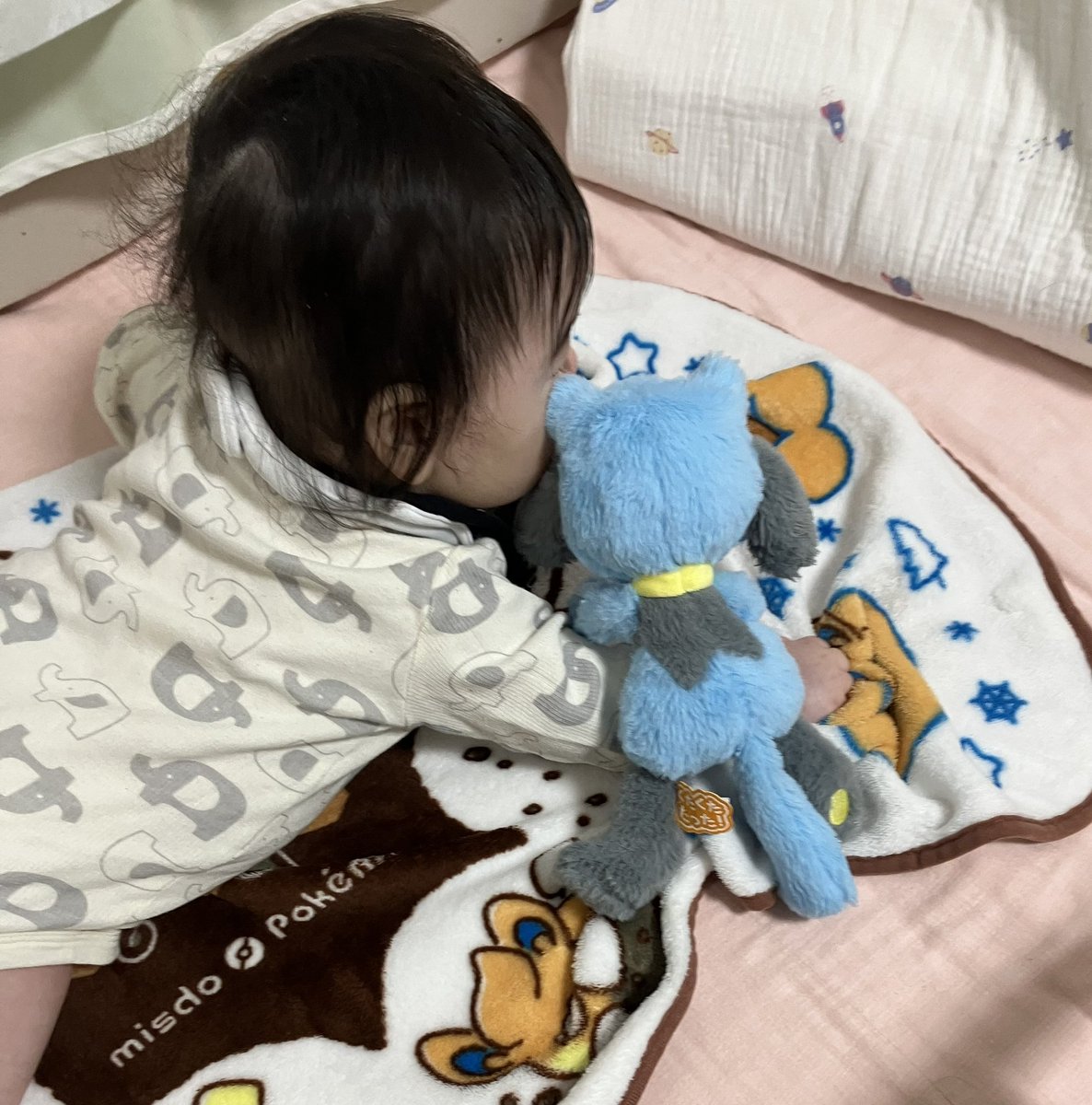 このブランケット、リオルいないね

#ポケモンとの生活 #リオル #Riolu #ポケぬい