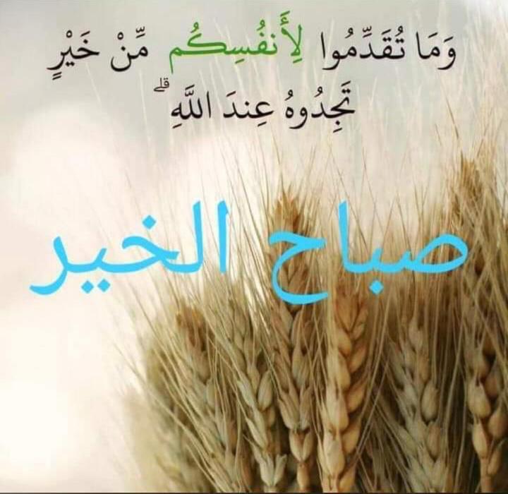 FatimaShouman3's tweet photo. @MayaSabbagh7 https://t.co/yCEUcoOfJN