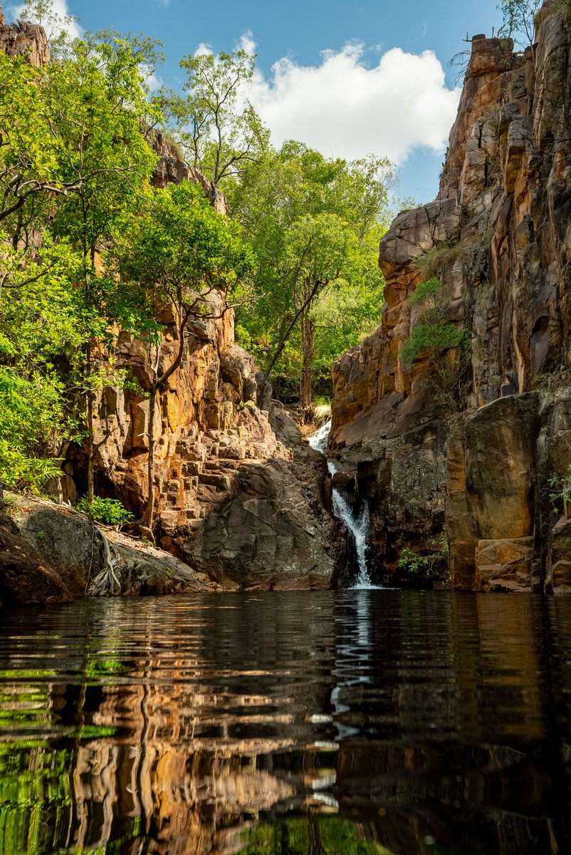 Toyota Australia (@toyota_aus) on Twitter photo 🚨 GIVEAWAY 🚨
In collaboration with <a href="/NT_Australia/">Northern Territory - Australia</a> we’re sending one lucky person to Kakadu National Park for a 4-day 4x4 adventure worth $10,000
Visit northernterritory.com/promotions/pra… to enter now
Promotion entry period: 15 Jan to 15 Feb 2025.
#NTAustralia 🚨 GIVEAWAY 🚨
In collaboration with <a href="/NT_Australia/">Northern Territory - Australia</a> we’re sending one lucky person to Kakadu National Park for a 4-day 4x4 adventure worth $10,000
Visit northernterritory.com/promotions/pra… to enter now
Promotion entry period: 15 Jan to 15 Feb 2025.
#NTAustralia