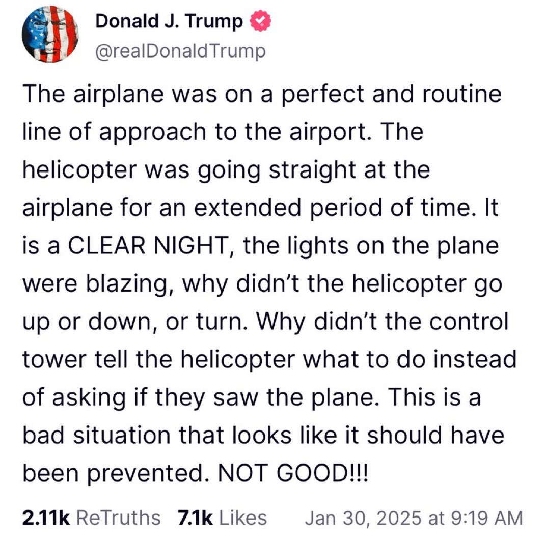 Naomi Seibt tweet media