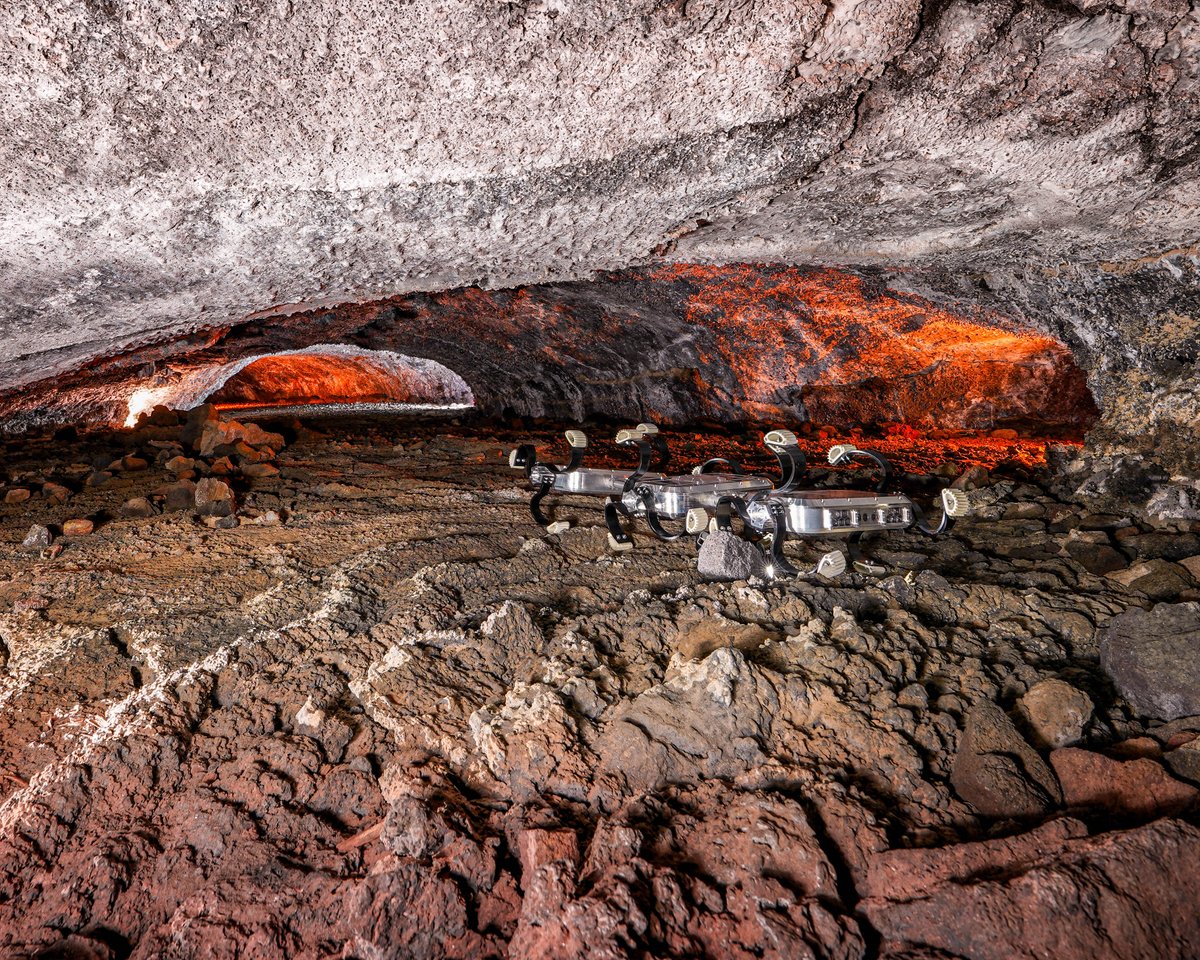 CSIRO (@csiro) on Twitter photo Lava tubes rock! 🌕
These natural tunnels could protect future space explorers.
We're working with Germany’s aerospace centre <a href="/DLR_en/">DLR - English</a>, to equip rovers for their first exploration.
Here's how: csiro.au/en/news/All/Ar…
📸 | Roy Lichtenheldt, DLR Lava tubes rock! 🌕
These natural tunnels could protect future space explorers.
We're working with Germany’s aerospace centre <a href="/DLR_en/">DLR - English</a>, to equip rovers for their first exploration.
Here's how: csiro.au/en/news/All/Ar…
📸 | Roy Lichtenheldt, DLR