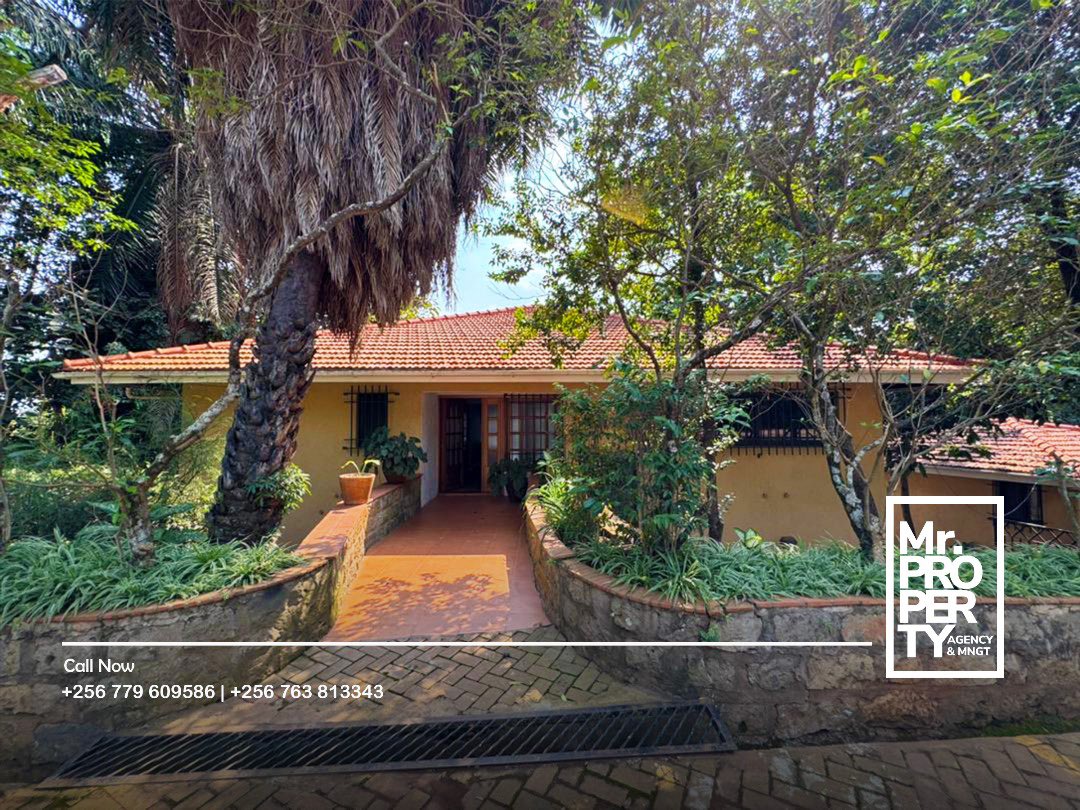 MrPropertyUg's tweet photo. 📌4 bedroom
📌Fully furnished
📌Quiet and secure location
📌Mature garden
📌Swimming pool and gym
📌Ample parking space 
📌In a gated community
📌Listed at $3500 (Negotiable)

#FindYourNextHome #mrpropertyug https://t.co/n3WOdQ2ETu
