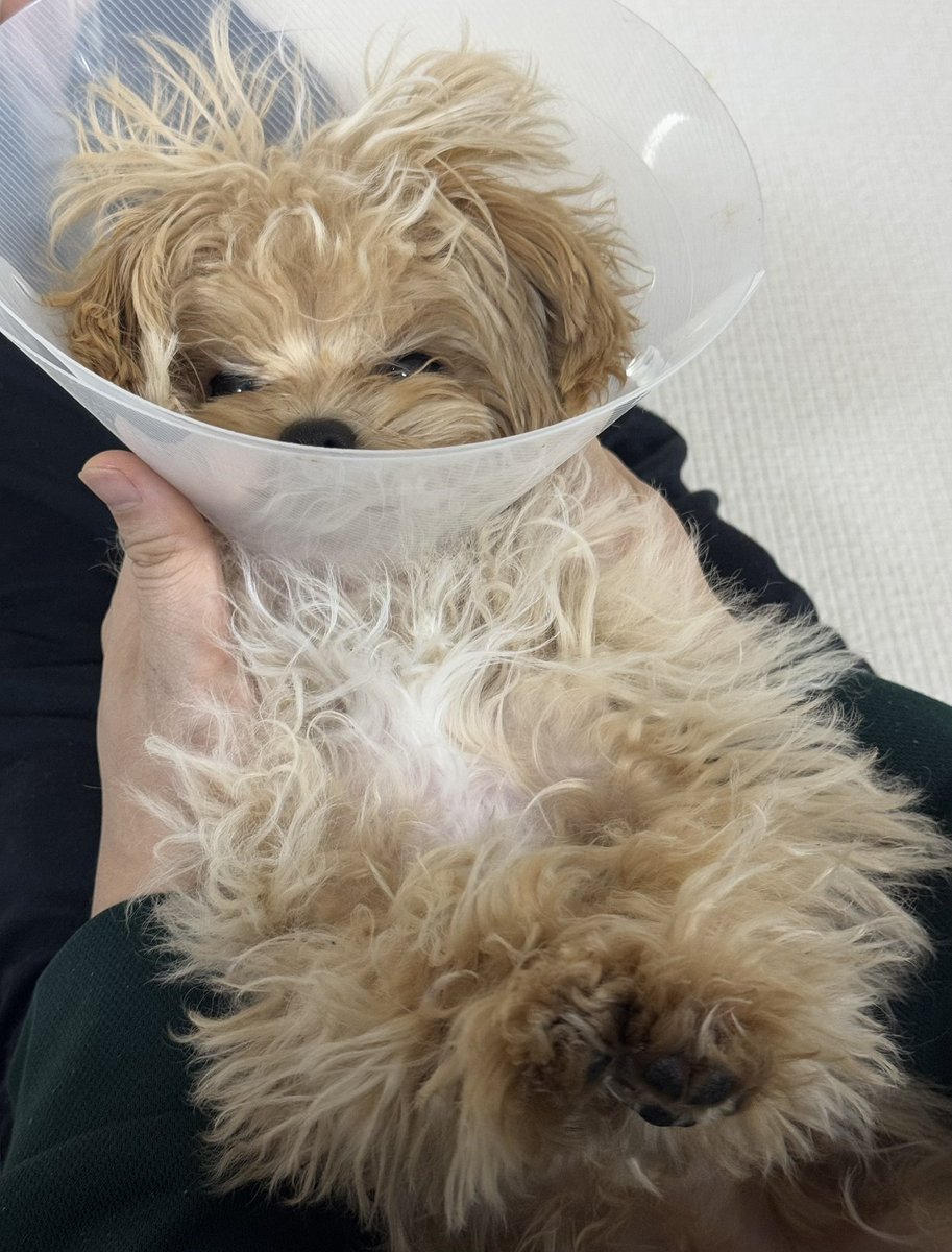 급체를 계기로 앞으로 소식하기 천천히먹기..