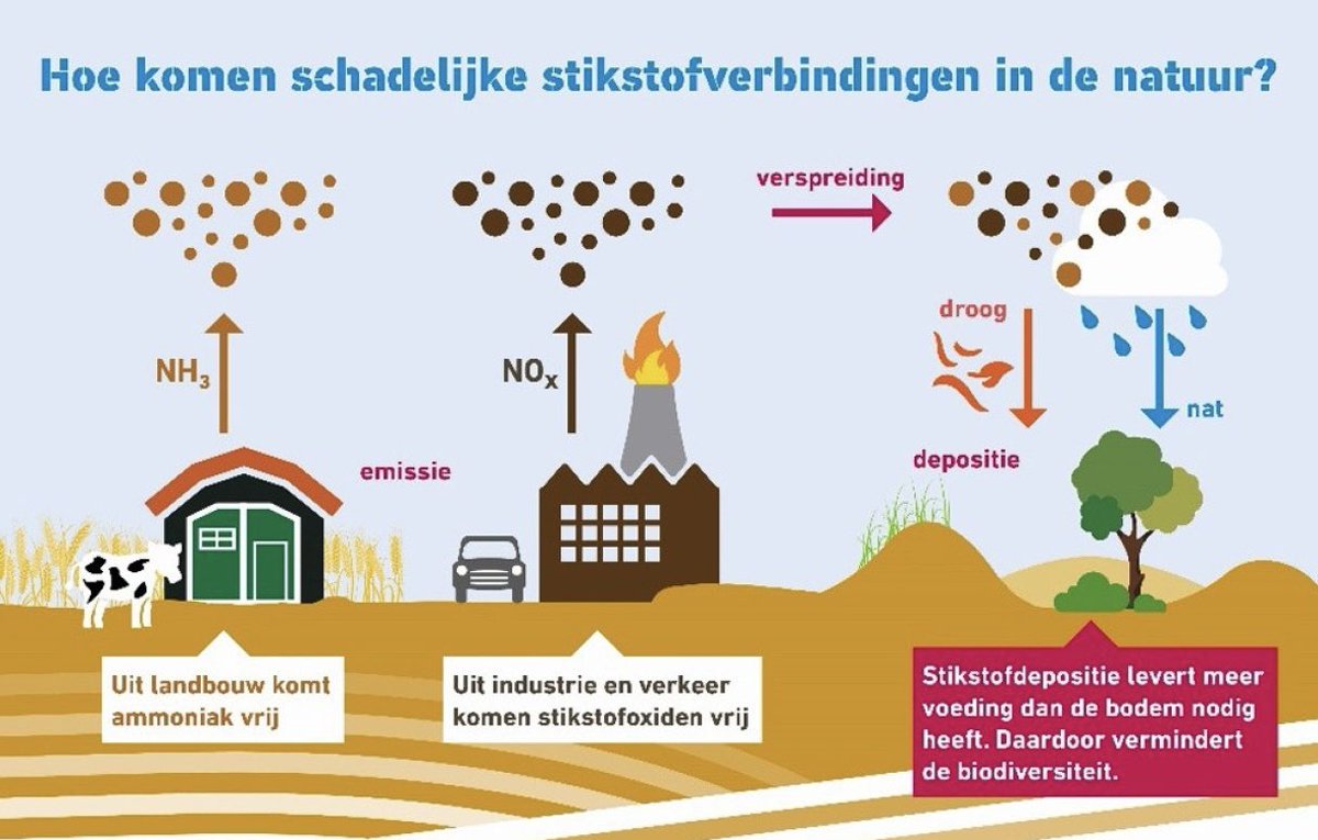 Kees Visser tweet media