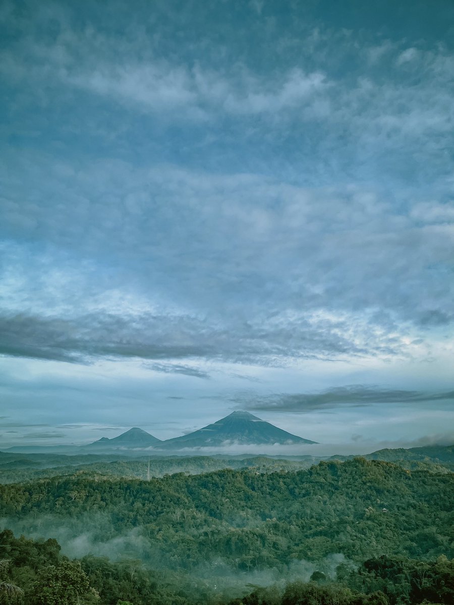 WLDXロケット tweet media