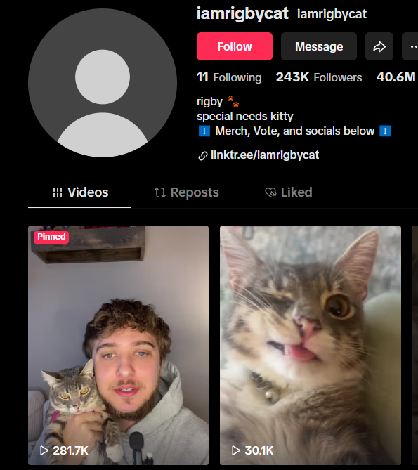 mooshiebrud's tweet photo. @cb_doge Rigby the cat

8XAoRFRnS8ddtyaaKcdbi4PzD8USboNAUmYfkR1Wpump https://t.co/cyD0Q8zVAH