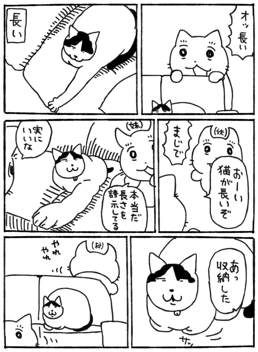 猫の長さを楽しむ会 