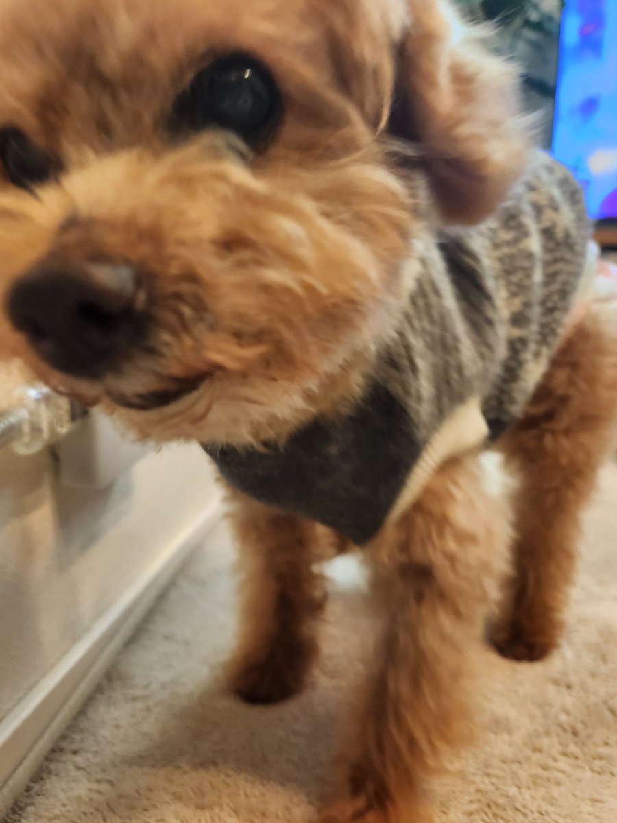 橋わたっちゃったと思われてるといけないので久しぶりにつぶやいてみる15歳