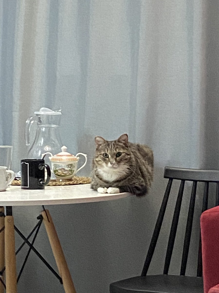запрещаю