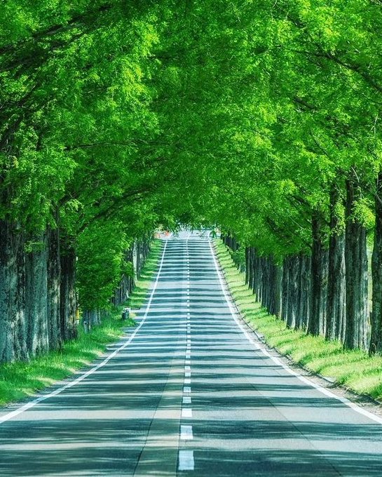 imam_gazzali1's tweet photo. Allah Şöyle Buyurdu;
*
“Beni yaratan; elbet yolumu gösterir.”
*
(Şuara Suresi 78. Ayet) https://t.co/KQMGQGRlDb